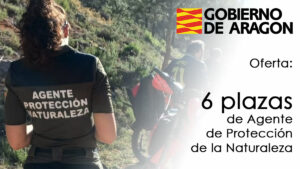 Oferta de 6 plazas de Agente de Protección de la Naturaleza en El Gobierno de Aragón